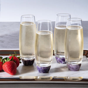 Elevo Champagne Glasses - ANNA New York