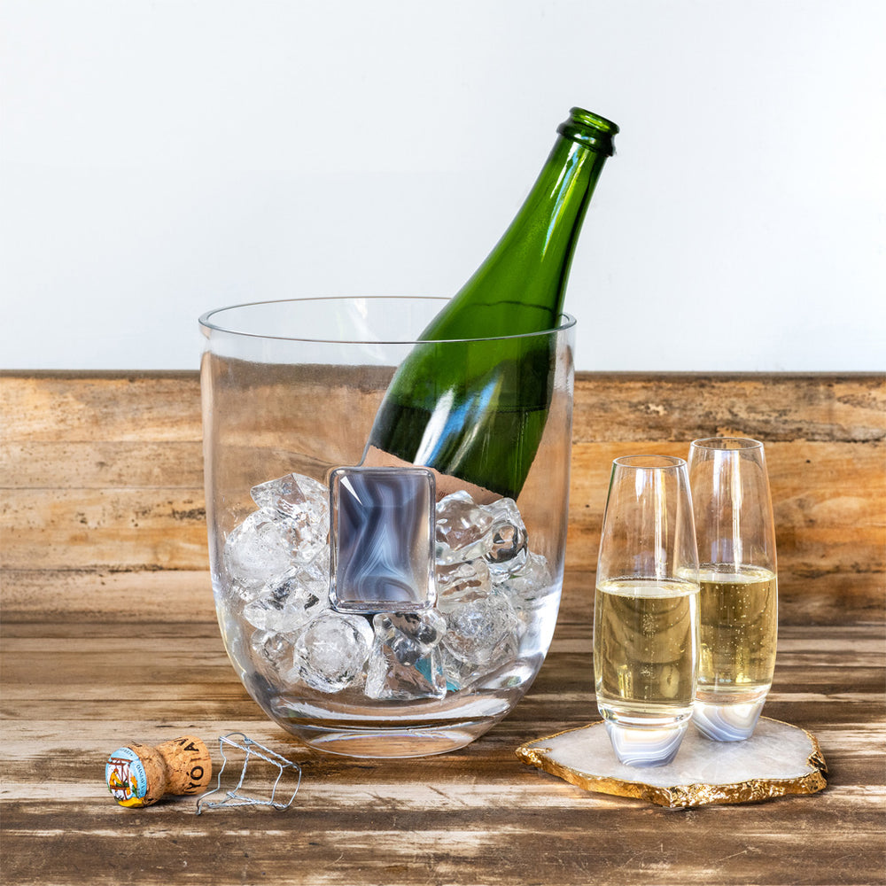 Elevo Champagne Glasses - ANNA New York